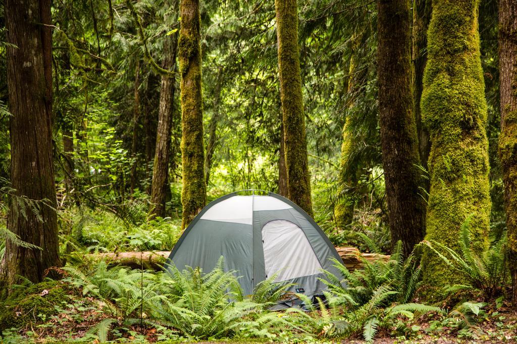 Mount Hood Village Premium Yurt 4 Welches Eksteriør bilde