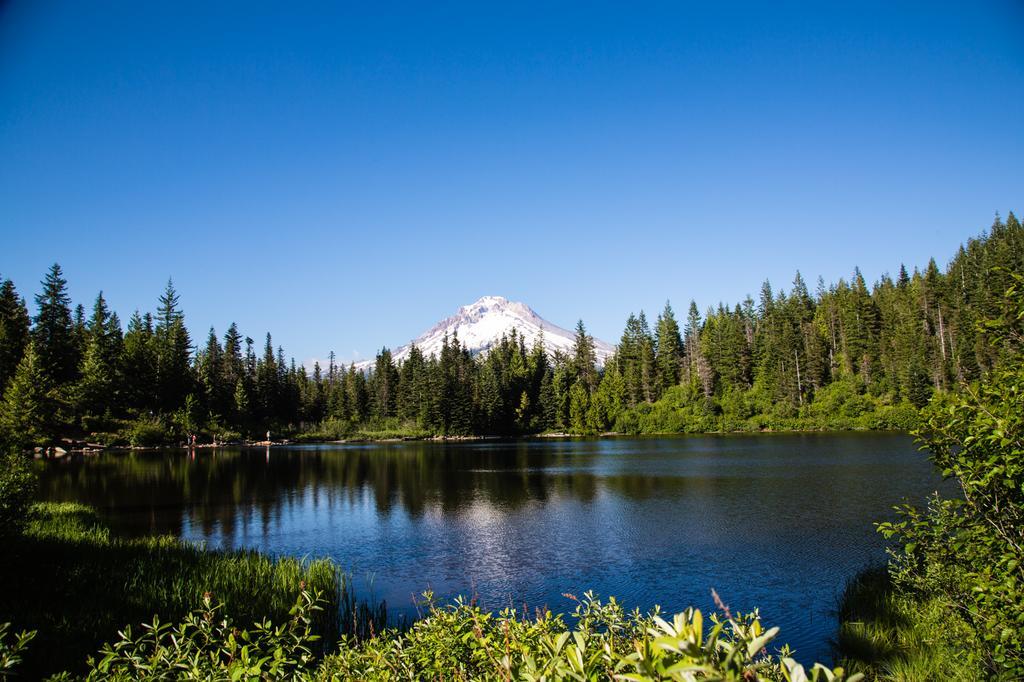 Mount Hood Village Premium Yurt 4 Welches Eksteriør bilde